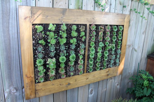 GroVert.succulents.106Park.Place  634x422 13 Outdoor Wall Artwork That You Would Like To Add In Your Outdoor Place