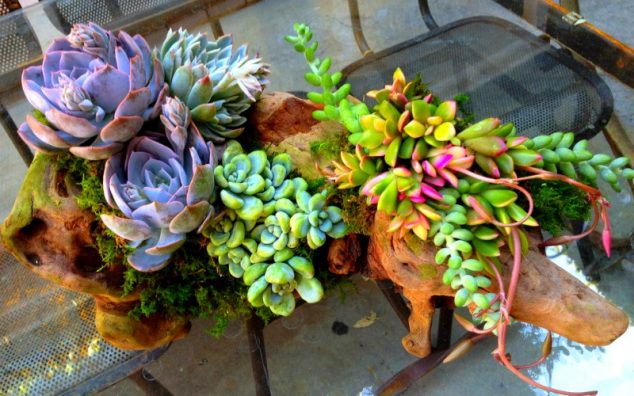 Small Succulent Planter 634x396 12 Easy To Make Succulent Planters Inspired By Their Charm