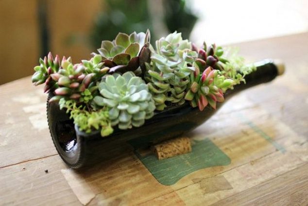 Succulent Wine BottlePlanter 09 634x423 12 Easy To Make Succulent Planters Inspired By Their Charm