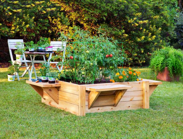 Vegetable Garden Edging Ideas 634x482 15 Creative Garden Edging Ideas For A Better Outdoor Look