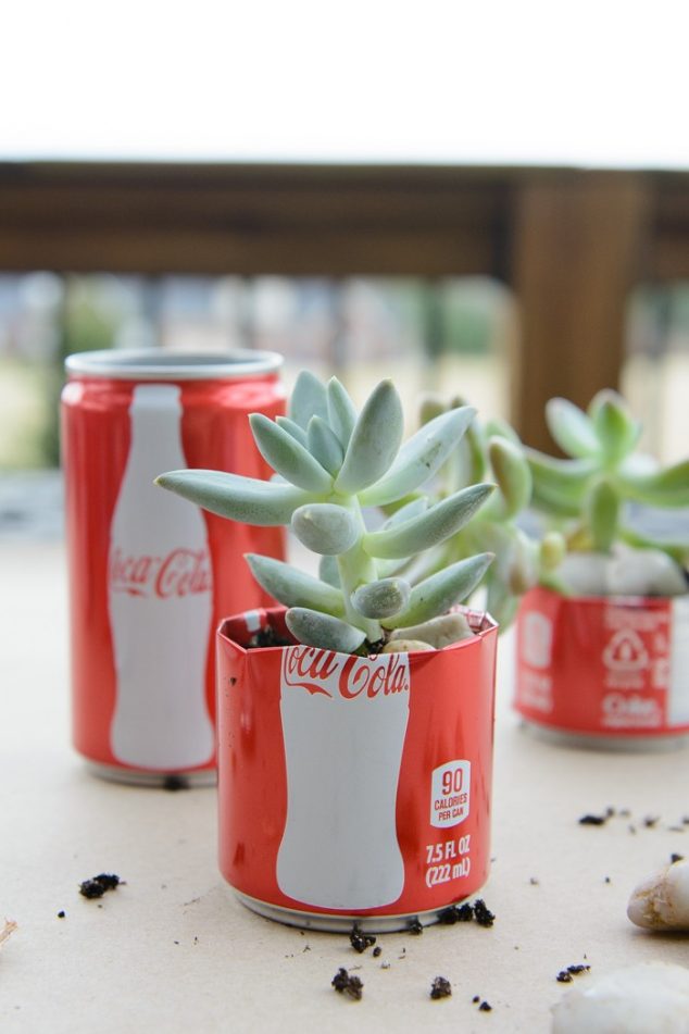 coke can succulent garden 24 700x1050 634x951 12 Easy To Make Succulent Planters Inspired By Their Charm