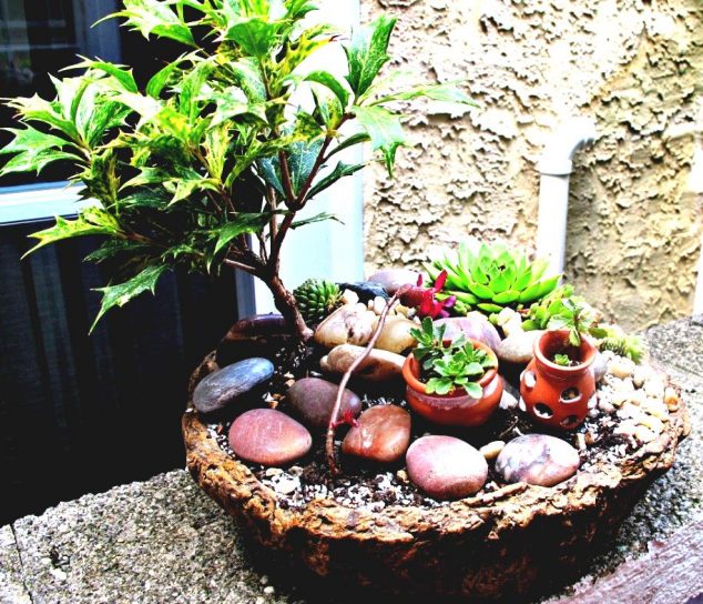 container fairy garden ideas photograph 2773 800x693 p 634x544 Build A Fairy Garden With Your Kids: 15 Perfect Idea How To Spend Your Extra Time