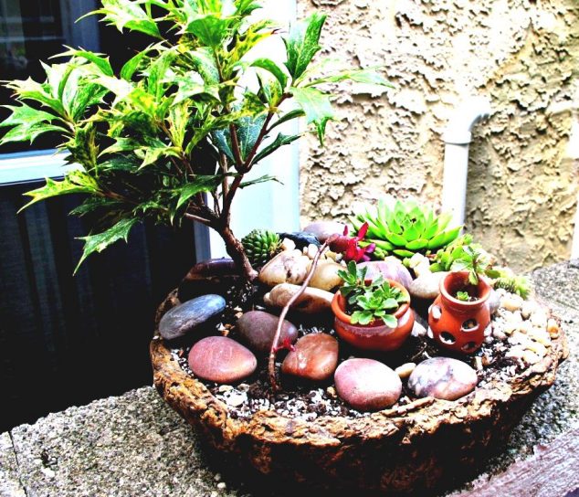 Build A Fairy Garden With Your Kids: 15 Perfect Idea How To Spend Your Extra Time container fairy garden ideas photograph 2773 800x693 p 634x544 Build A Fairy Garden With Your Kids: 15 Perfect Idea How To Spend Your Extra Time