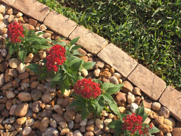 15 Creative Garden Edging Ideas For A Better Outdoor Look 15 Creative Garden Edging Ideas For A Better Outdoor Look