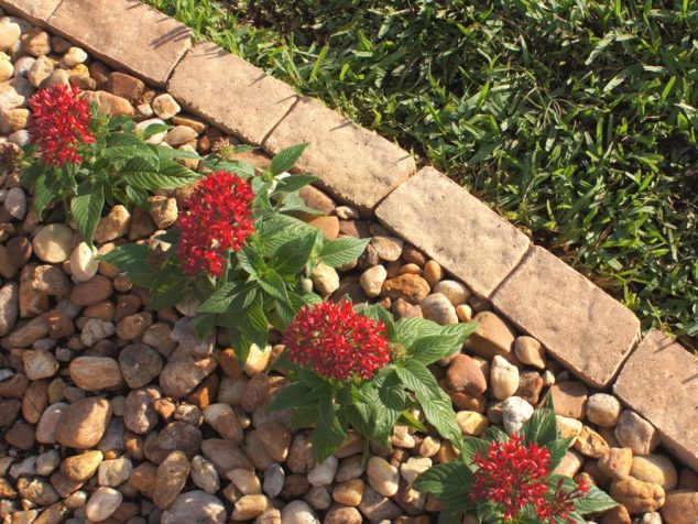  15 Creative Garden Edging Ideas For A Better Outdoor Look