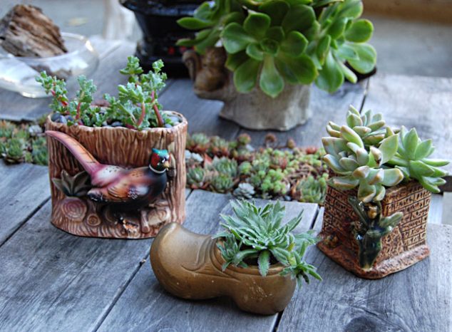 12 Easy To Make Succulent Planters Inspired By Their Charm cutie pots 634x466 12 Easy To Make Succulent Planters Inspired By Their Charm