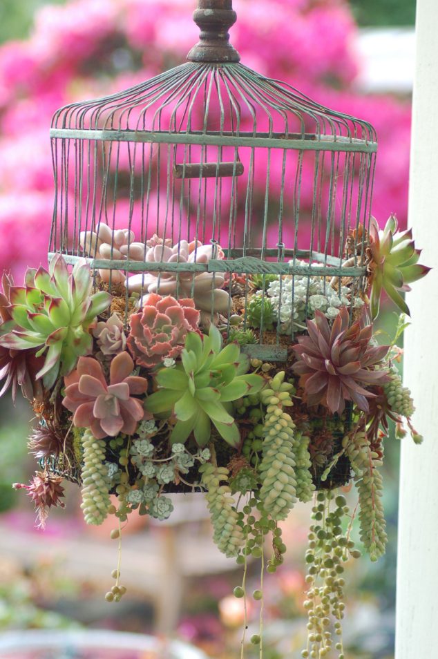  12 Easy To Make Succulent Planters Inspired By Their Charm