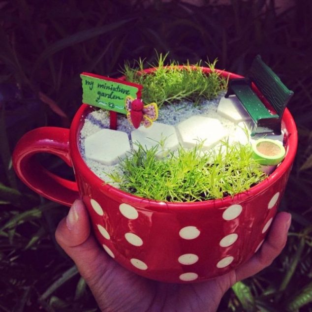Build A Fairy Garden With Your Kids: 15 Perfect Idea How To Spend Your Extra Time f67d7 5d42f db503 96bcc 76125 634x634 Build A Fairy Garden With Your Kids: 15 Perfect Idea How To Spend Your Extra Time