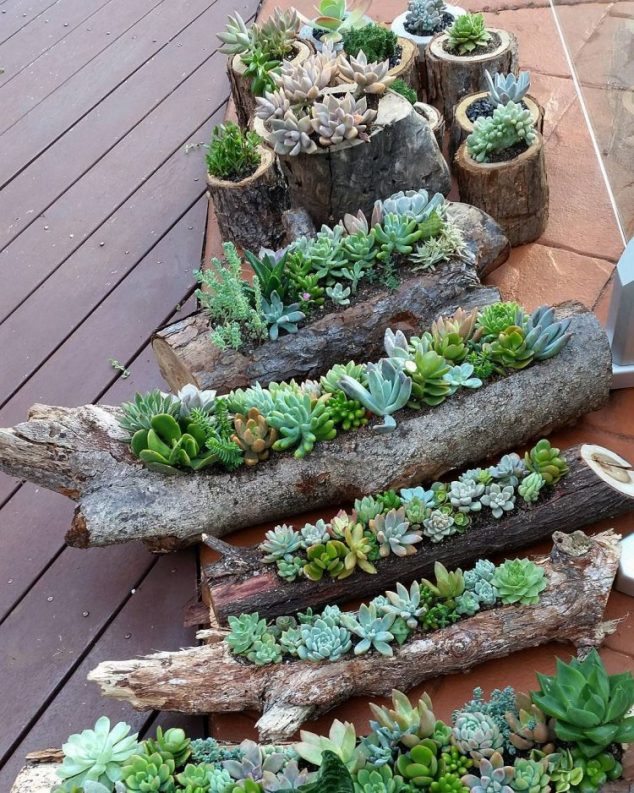 hollowed out logs and timber rounds are inexpesive containers for beautiful succulent gardens you can DIY 750x938 634x793 12 Easy To Make Succulent Planters Inspired By Their Charm