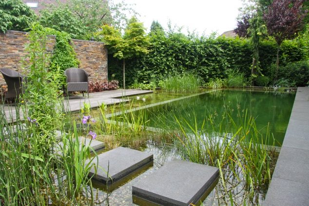 16 Garden And Backyard Swimming Pool Stepping Ideas that You Dream For natural pool pond water garden stepping stones BioNova NJ 634x422 16 Garden And Backyard Swimming Pool Stepping Ideas that You Dream For