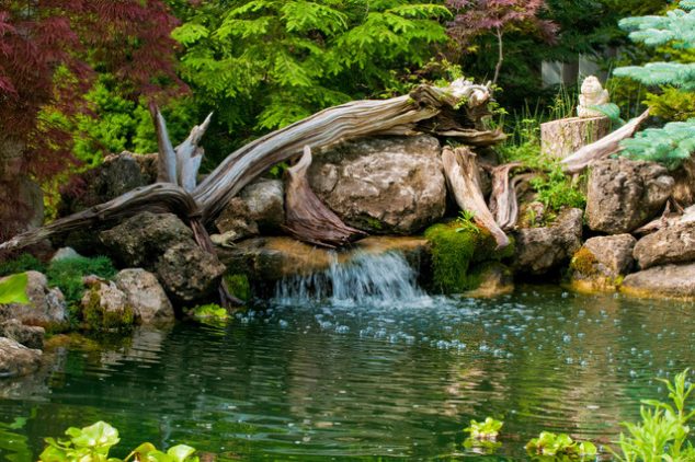15 Cool Under Ground Garden Pond Ideas for Making Favorite Garden tropical landscape 634x422 15 Cool Under Ground Garden Pond Ideas for Making Favorite Garden