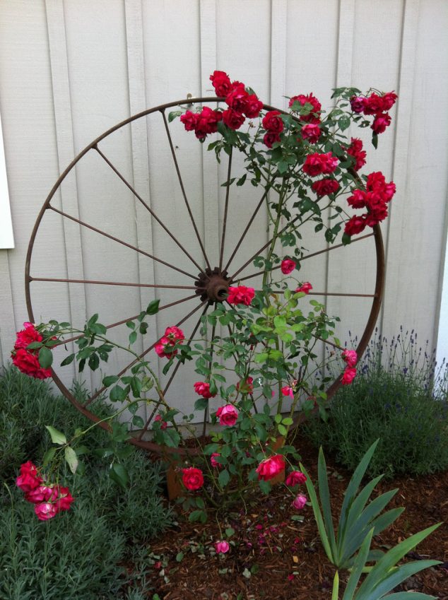 7386639302 2991e58c22 b 634x849 10 DIY Ideas How To Use Wagon Wheel In Garden Decor