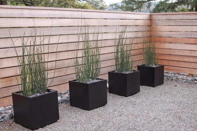 16 Trend setting Fence Panels for Making The Most Out of The Garden chE1BAADu2BtrE1BB93ng2BcC3A2y2BloE1BAA1i2Bto 634x421 16 Trend setting Fence Panels for Making The Most Out of The Garden