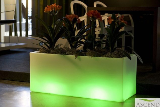 illuminated 6 634x422 15 Illuminated Planters That You Would Like To Have It In Your Outdoor Place