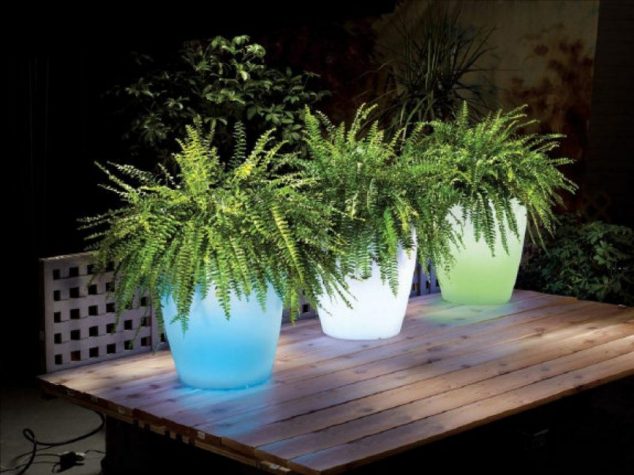 illuminatedplanters.jpeg.size .custom.crop .867x650 634x475 15 Illuminated Planters That You Would Like To Have It In Your Outdoor Place