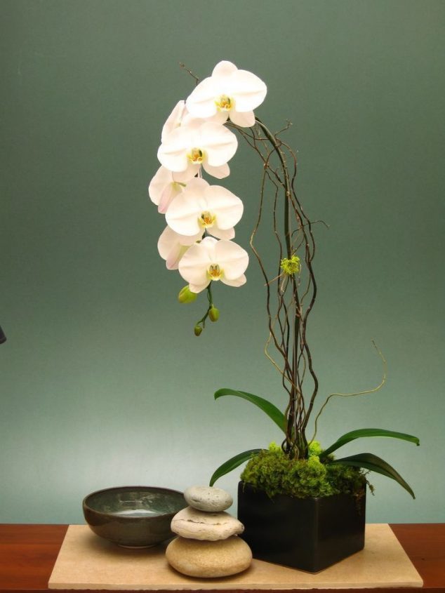 Manage Stress:15 Ideas for Turning Your Home Into Stress Free Sanctuary lifebuzz 637f539a019b89172f9dc0724e83af06 limit 2000 634x845 Manage Stress:15 Ideas for Turning Your Home Into Stress Free Sanctuary
