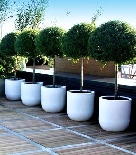 12 Absolutely Great Garden Decor Ideas For Stylish Garden vavrin uslechtily 8 12 Absolutely Great Garden Decor Ideas For Stylish Garden