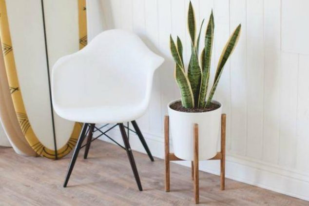 13 Modern DIY Plant Stands That Will Boost Your Creativity image573de0e62d9578.57962452 634x422 13 Modern DIY Plant Stands That Will Boost Your Creativity