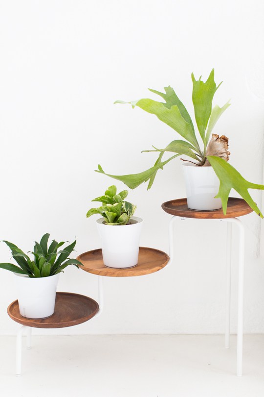 ms4a6611 13 Modern DIY Plant Stands That Will Boost Your Creativity
