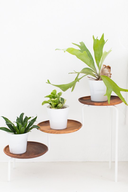 13 Modern DIY Plant Stands That Will Boost Your Creativity ms4a6611 13 Modern DIY Plant Stands That Will Boost Your Creativity