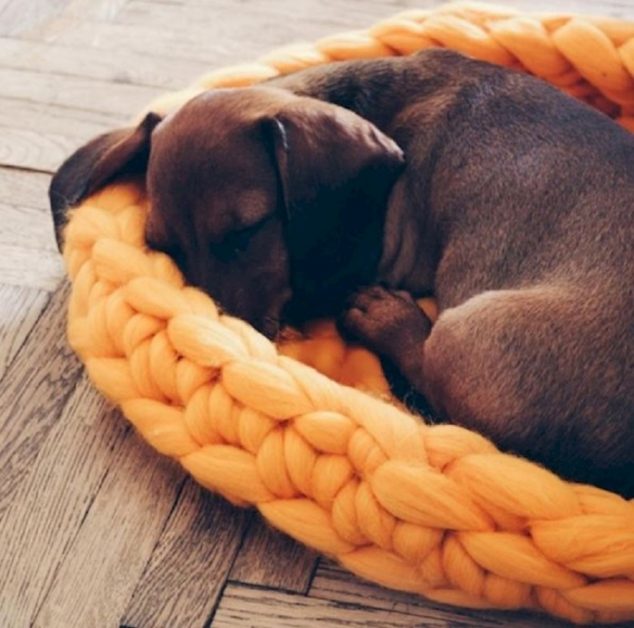 Creative DIY Knitted Giant Blanket of Wool For Cold Days pet blankets 700x693 634x628 Creative DIY Knitted Giant Blanket of Wool For Cold Days
