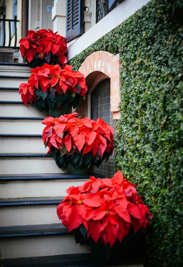 sav 634x926 15 Sensational Christmas Front Door Decor With Lovely Red Poinsettias