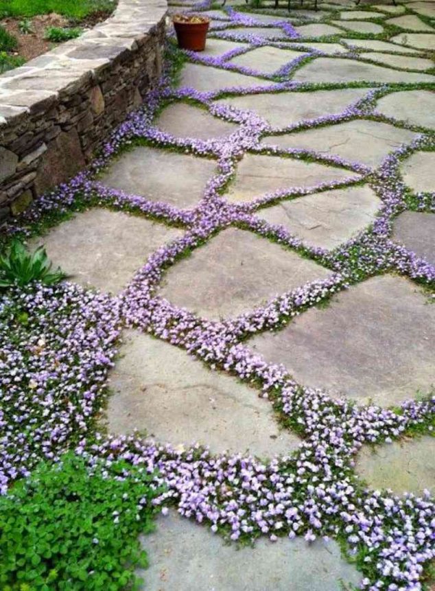 156dd1b77228c9 634x861 The Beauty of 15 Stone Pathways in Garden