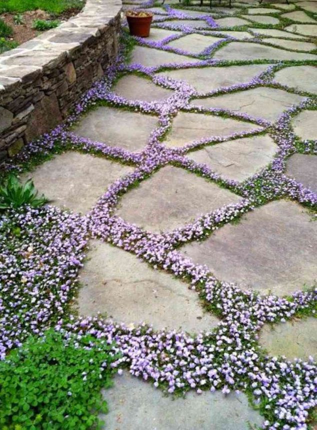 The Beauty of 15 Stone Pathways in Garden 156dd1b77228c9 634x861 The Beauty of 15 Stone Pathways in Garden