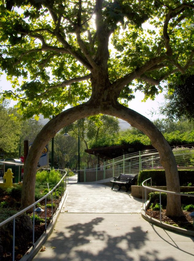 These Awesome 16 Backyard Landscaping Design Will Grab Your Attention 42390496520Circus20Tree 634x850 These Awesome 16 Backyard Landscaping Design Will Grab Your Attention