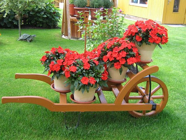 15 Pretty Ideas About How to DIY Wonderful Garden 7309 impatiens balsamina netykavka 1 15 Pretty Ideas About How to DIY Wonderful Garden