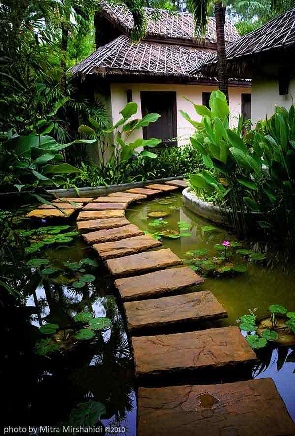 backyard pond water garden        The Beauty of 15 Stone Pathways in Garden