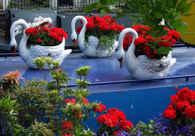 15 Pretty Ideas About How to DIY Wonderful Garden swans in little venice 634x444 15 Pretty Ideas About How to DIY Wonderful Garden