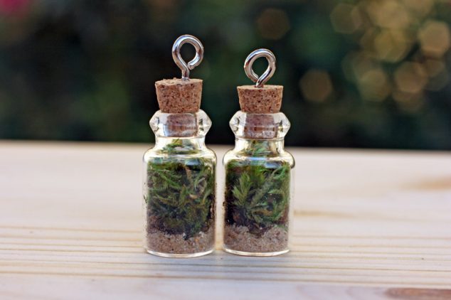 08 634x422 12 DIY Terrarium That Looks Awesome