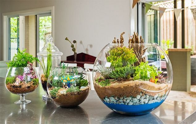 393001f53e5602984a938f0210b819df 634x400 12 DIY Terrarium That Looks Awesome