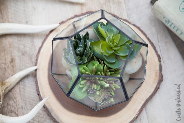 Easy Terrarium DIY succulent consumer crafts unleashed 2 634x423 12 DIY Terrarium That Looks Awesome