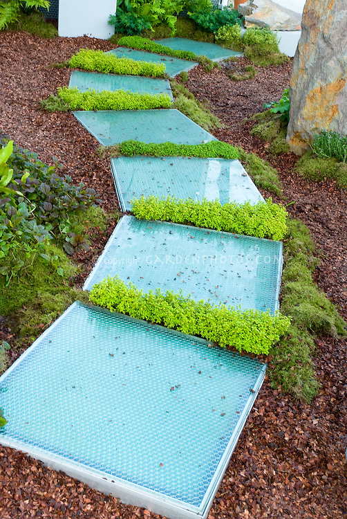 13 Gorgeous Pathways that Make the Garden With Unique Look Stepping Stone Plants 37924 13 Gorgeous Pathways that Make the Garden With Unique Look