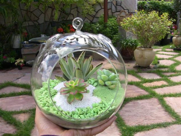 Succulent terrarium 2467 Medium 634x476 12 DIY Terrarium That Looks Awesome