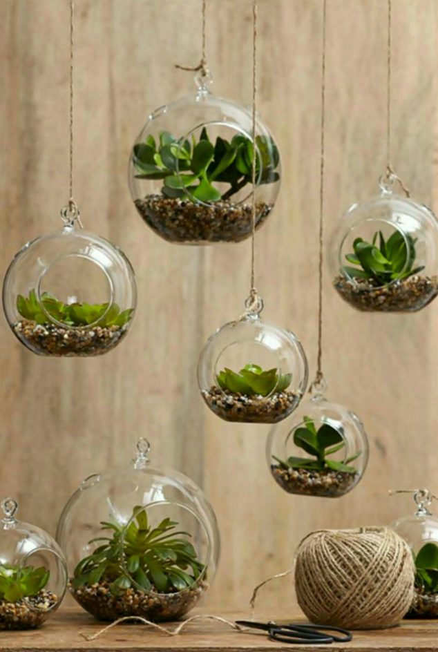 fai da te e piante grasse 634x944 12 DIY Terrarium That Looks Awesome