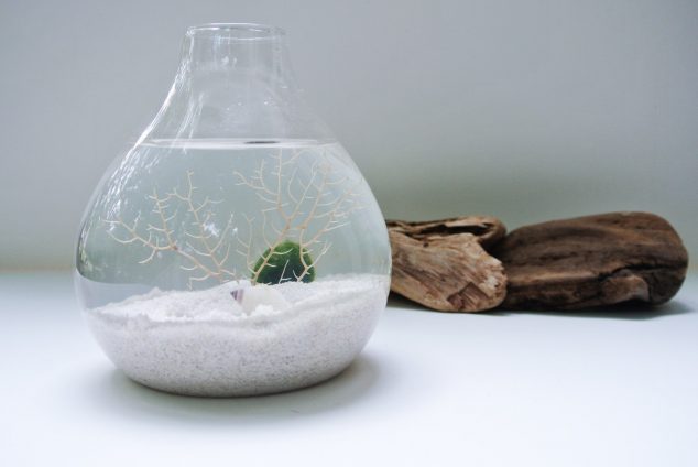 il fullxfull.459240782 8zzl 634x424 12 DIY Terrarium That Looks Awesome