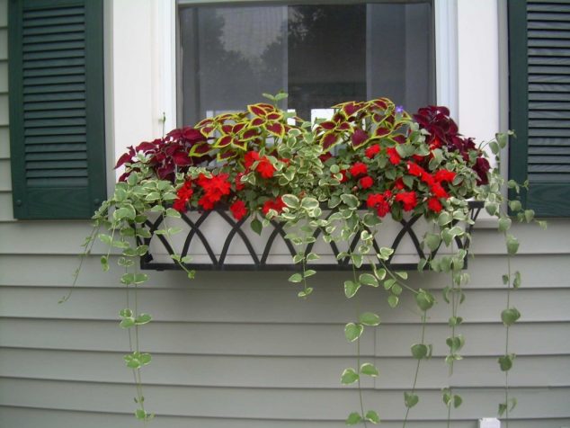 15 Inspiring Window Flower Boxes for Wishing You Good Morning Arch Decora Window Box 018 WBC 08 1030x773 634x476 15 Inspiring Window Flower Boxes for Wishing You Good Morning