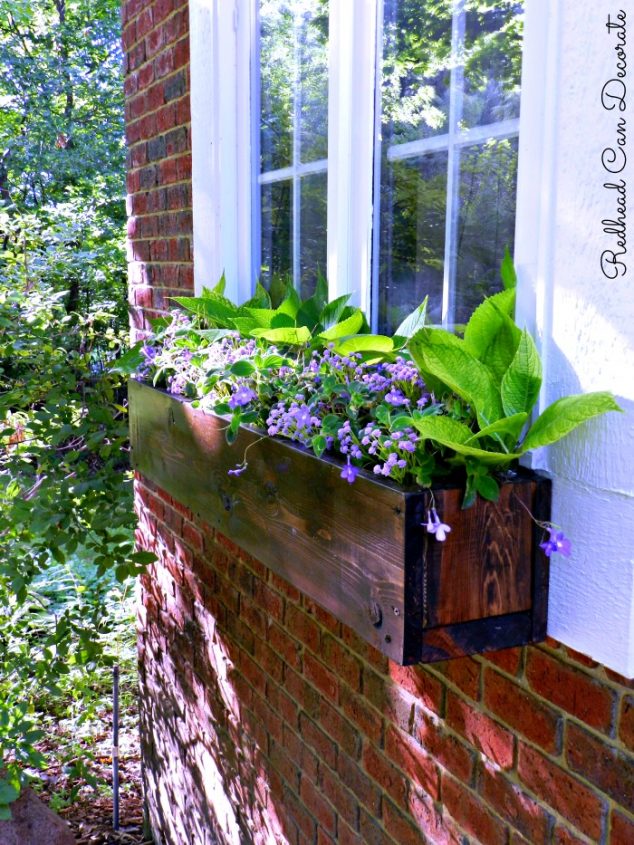 Box 634x845 15 Inspiring Window Flower Boxes for Wishing You Good Morning