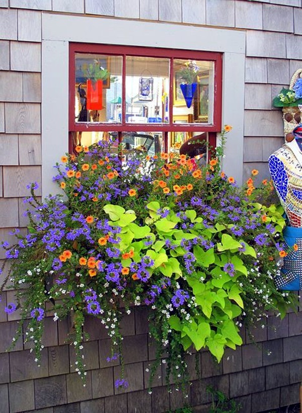 Magical window flower box ideas 31 15 Inspiring Window Flower Boxes for Wishing You Good Morning