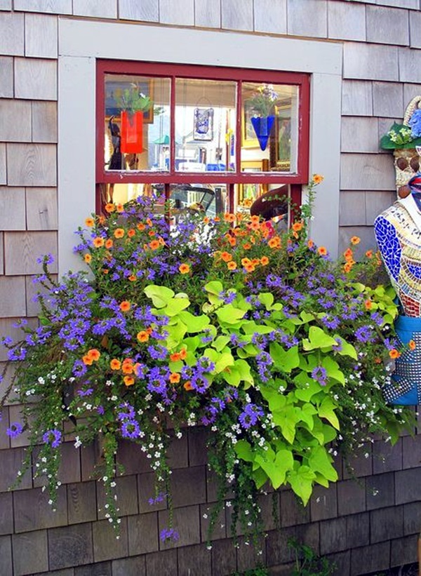 15 Inspiring Window Flower Boxes for Wishing You Good Morning Magical window flower box ideas 31 15 Inspiring Window Flower Boxes for Wishing You Good Morning