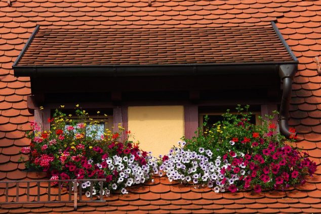 Window20Boxes 634x423 15 Inspiring Window Flower Boxes for Wishing You Good Morning