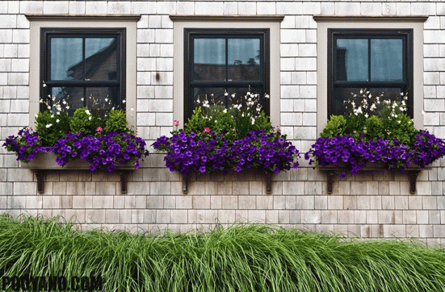 trang tri cho cua so 634x416 15 Inspiring Window Flower Boxes for Wishing You Good Morning