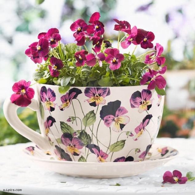 15 Tiny and Lovely DIY Garden in a Coffee Mug 5062921 634x634 15 Tiny and Lovely DIY Garden in a Coffee Mug