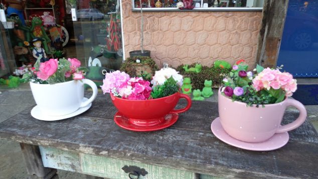 15 Tiny and Lovely DIY Garden in a Coffee Mug DSC00423 634x357 15 Tiny and Lovely DIY Garden in a Coffee Mug