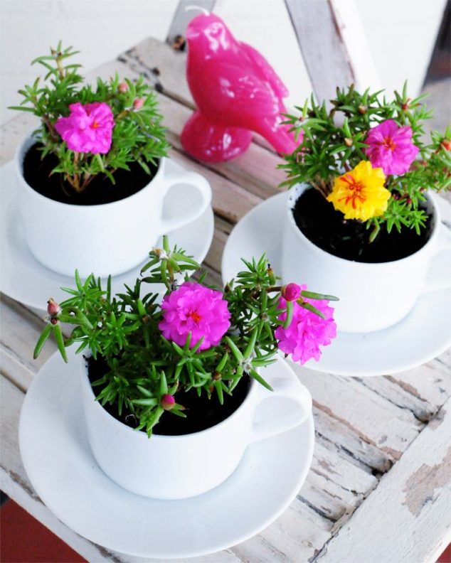 15 Tiny and Lovely DIY Garden in a Coffee Mug c8669bd3e54a5ee17bcd1c381c3547ea 634x792 15 Tiny and Lovely DIY Garden in a Coffee Mug