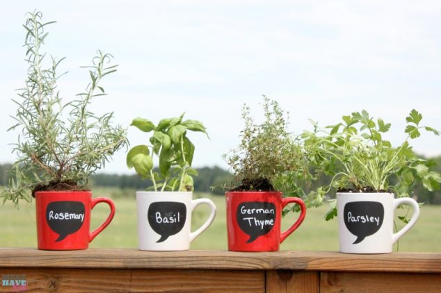 15 Tiny and Lovely DIY Garden in a Coffee Mug coffee mug herb garden diy idea 634x422 15 Tiny and Lovely DIY Garden in a Coffee Mug