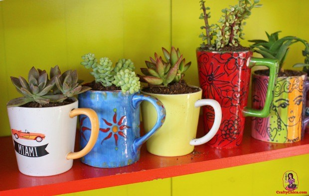 coffee mug planters1.jpg 15 Tiny and Lovely DIY Garden in a Coffee Mug